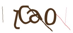 Identifying code