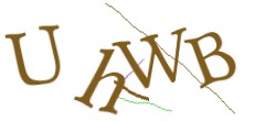 Identifying code