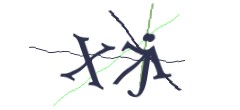 Identifying code