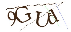 Identifying code