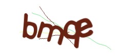 Identifying code