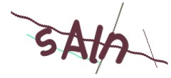 Identifying code
