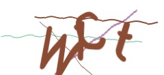 Identifying code
