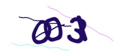 Identifying code