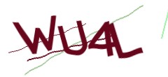 Identifying code