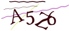 Identifying code