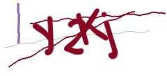 Identifying code