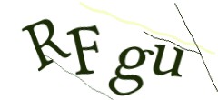 Identifying code