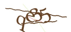 Identifying code
