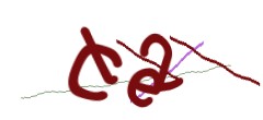 Identifying code