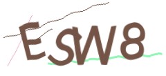 Identifying code