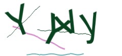 Identifying code