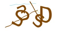 Identifying code