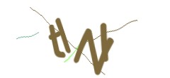 Identifying code