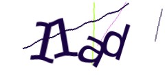 Identifying code