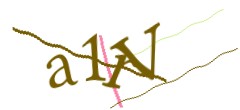 Identifying code