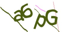 Identifying code