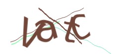 Identifying code