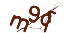 Identifying code