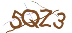 Identifying code