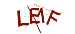Identifying code