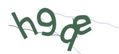 Identifying code