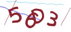 Identifying code