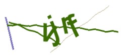 Identifying code