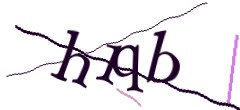 Identifying code