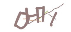 Identifying code