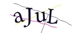 Identifying code