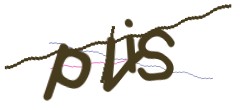 Identifying code