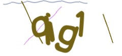 Identifying code