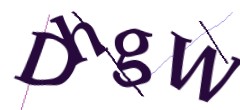Identifying code
