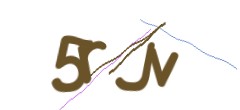 Identifying code