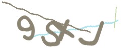 Identifying code