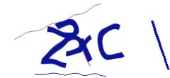 Identifying code