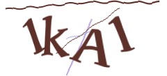 Identifying code