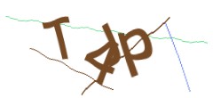 Identifying code