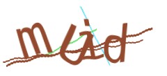 Identifying code