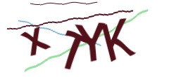 Identifying code