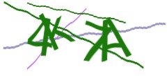 Identifying code
