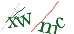 Identifying code