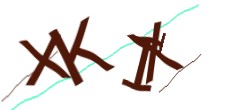Identifying code