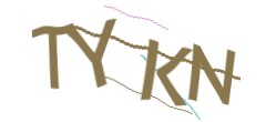 Identifying code