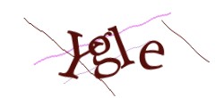 Identifying code
