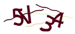 Identifying code