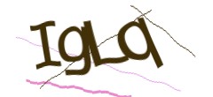 Identifying code