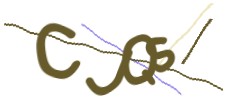 Identifying code