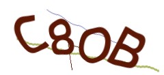 Identifying code
